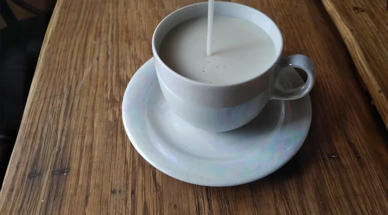 Домашнее овсяное молоко - польза и как сделать овсяное молоко?