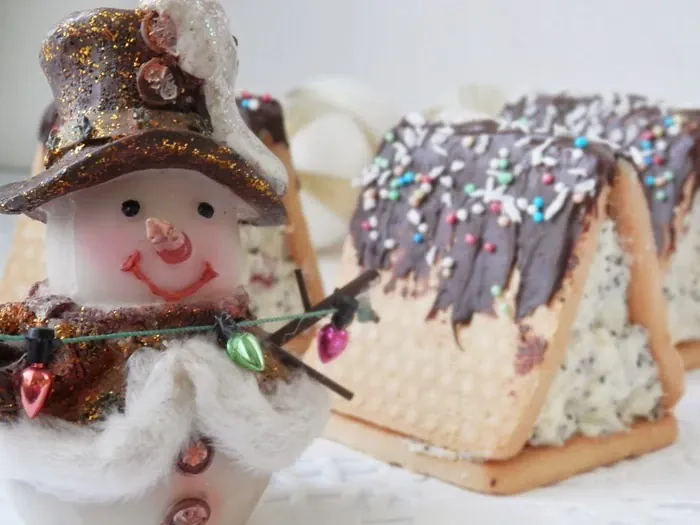 Sausainių ir varškės nameliai su aguonomis bei glajumi