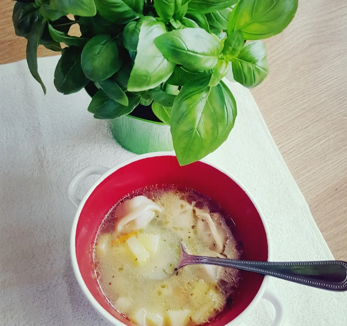 Sriuba su koldūnais, bulvėmis ir morkomis