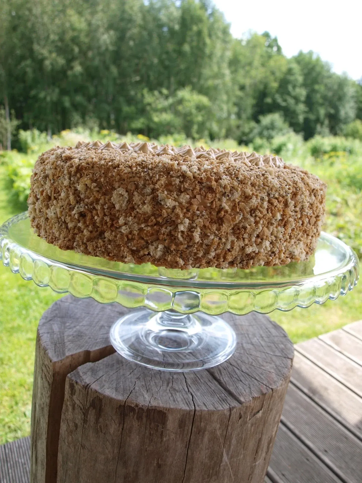 Biskvitinis tortas "Svajonė" su Rududu, sviesto ir grietinės kremu