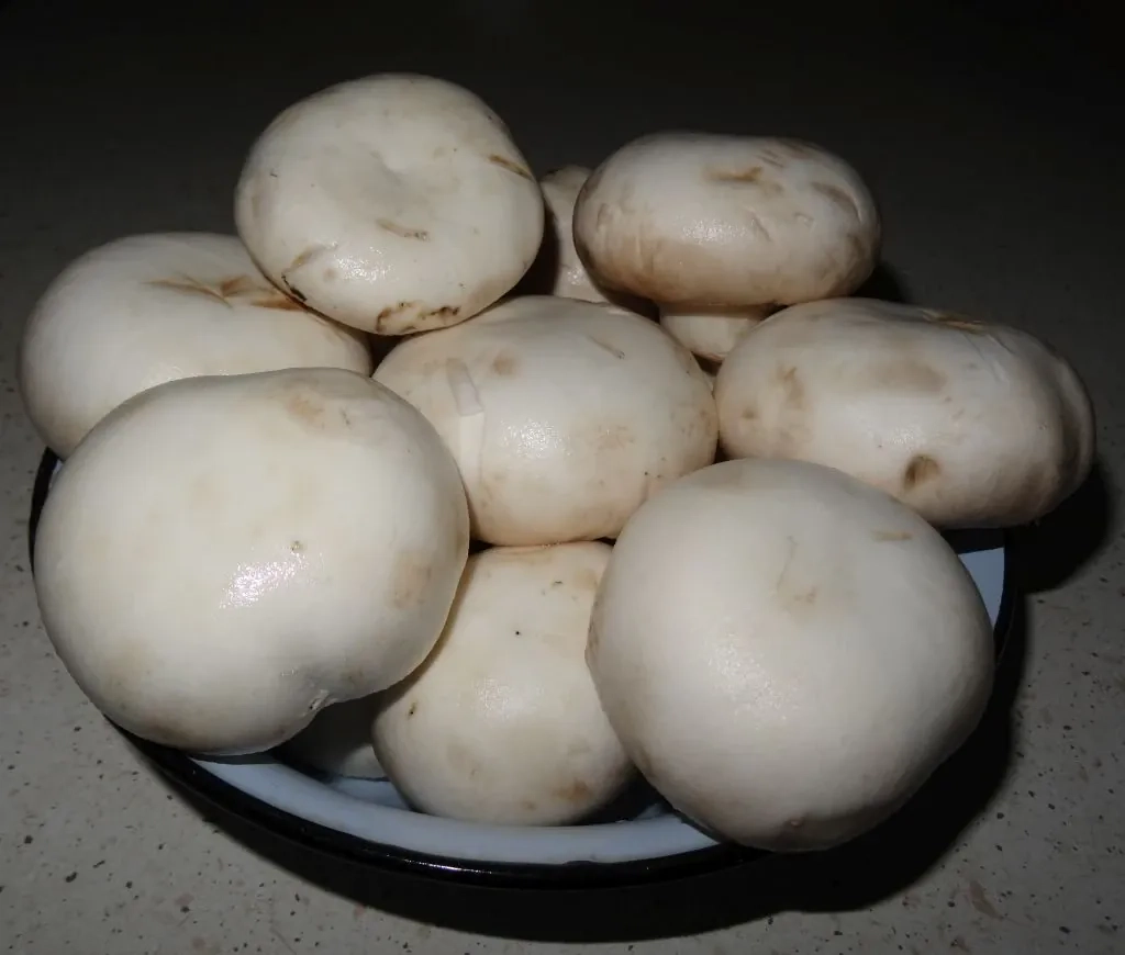 Zapiekanki z pieczarkami i serem