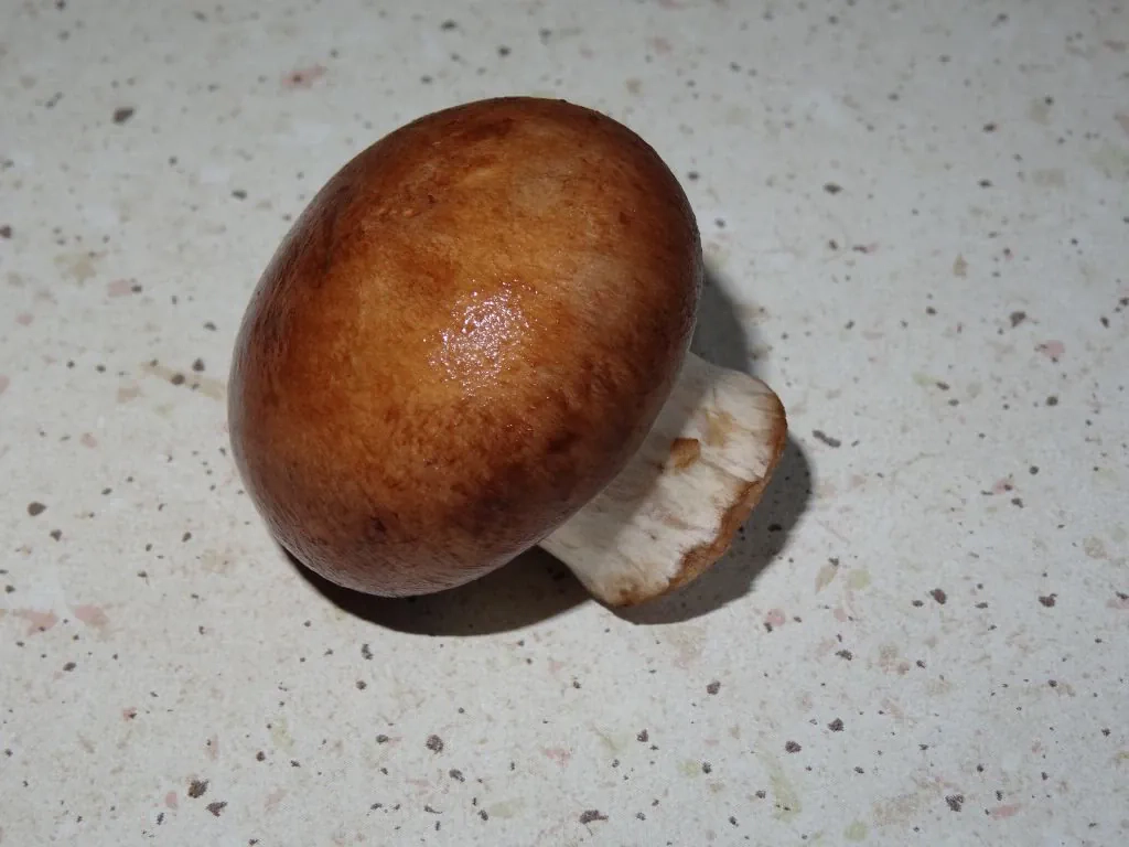 Zapiekanka ziemniaczana z brokułem i pieczarkami z sosem serowym na beszamelu