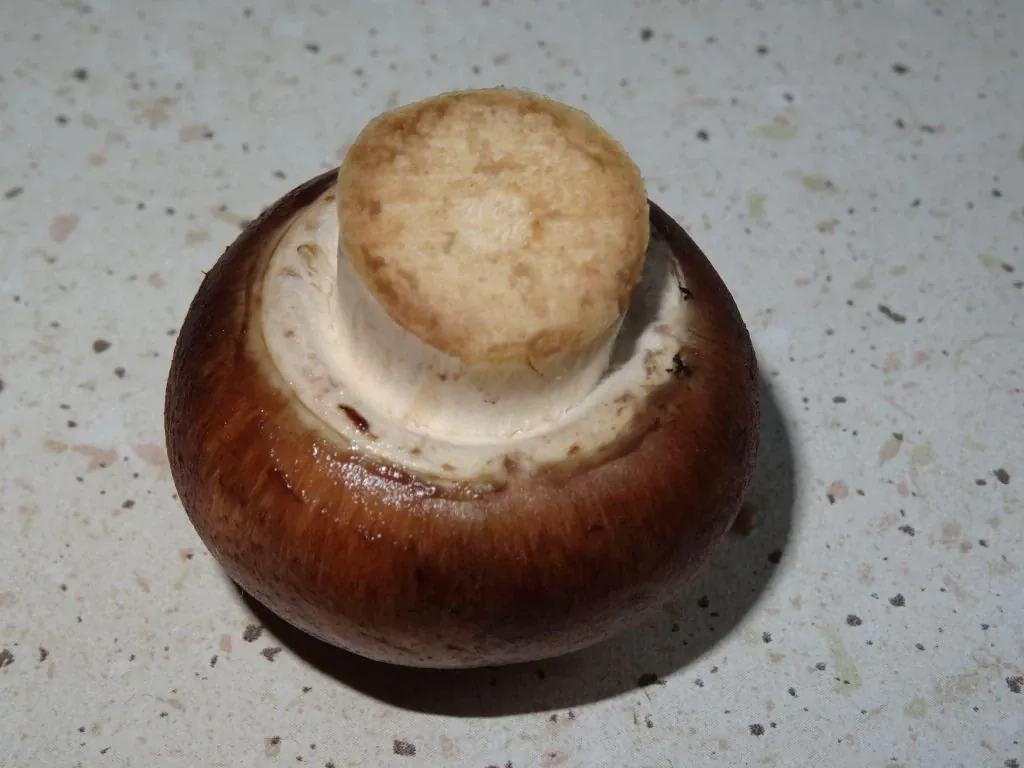 Zapiekanka ziemniaczana z brokułem i pieczarkami z sosem serowym na beszamelu