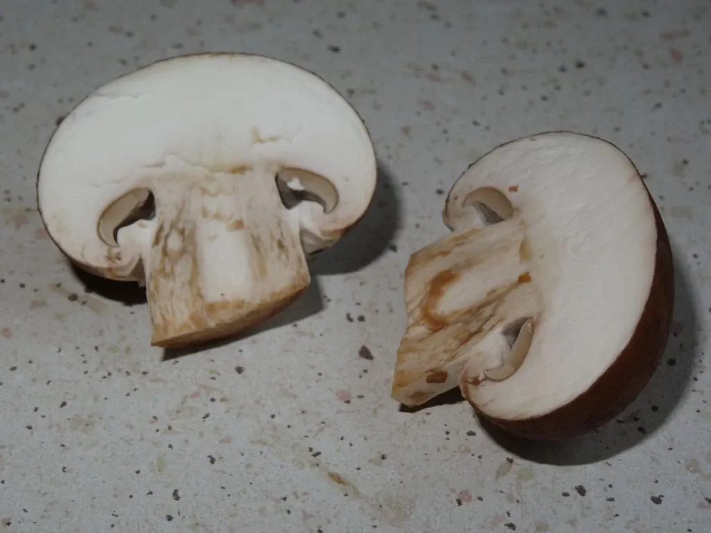 Zapiekanka ziemniaczana z brokułem i pieczarkami z sosem serowym na beszamelu