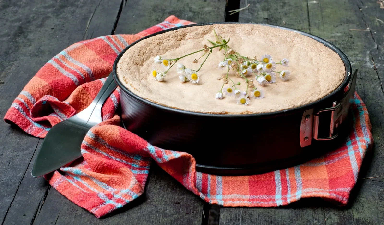 Biszkopt bezglutenowy niezawodny