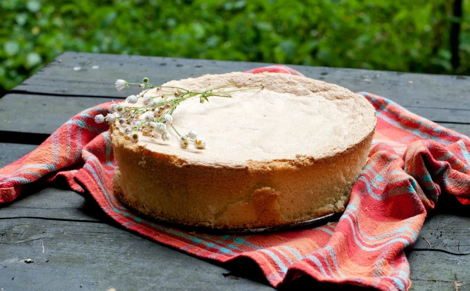 Biszkopt bezglutenowy niezawodny