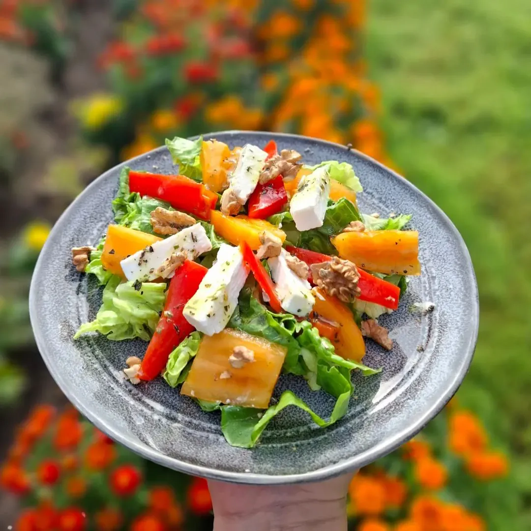 Tomātu salāti ar grillētu papriku, fetas sieru un valriekstiem