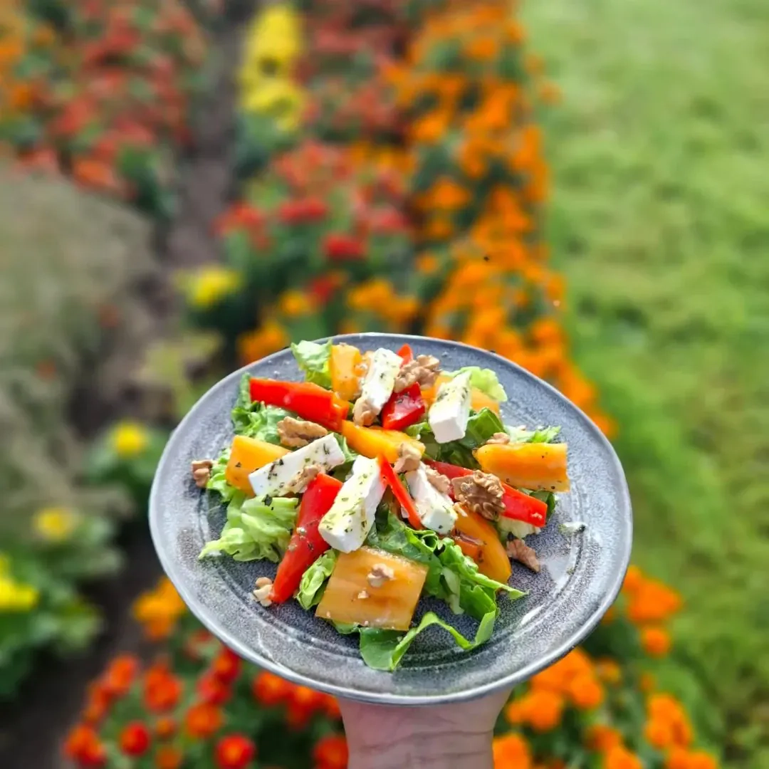 Tomātu salāti ar grillētu papriku, fetas sieru un valriekstiem