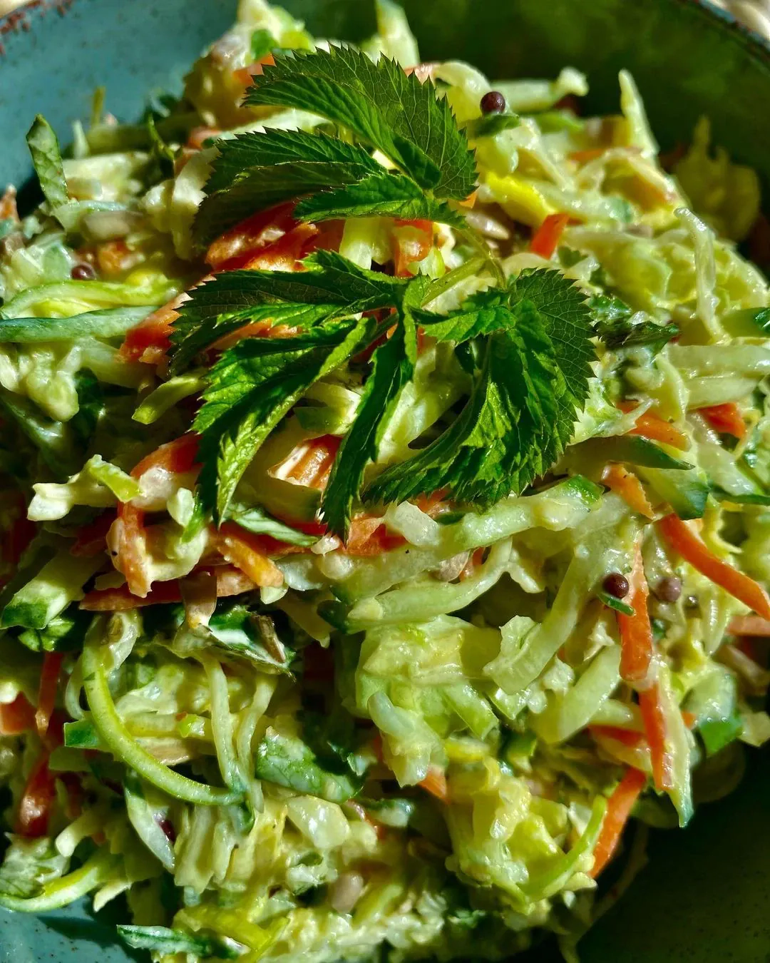 Morkų, agurkų ir šviežių kopūstų salotos su garšva