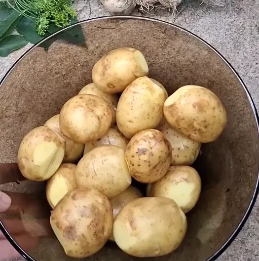 Jaunie kartupeļi Kaukāzu gaumē