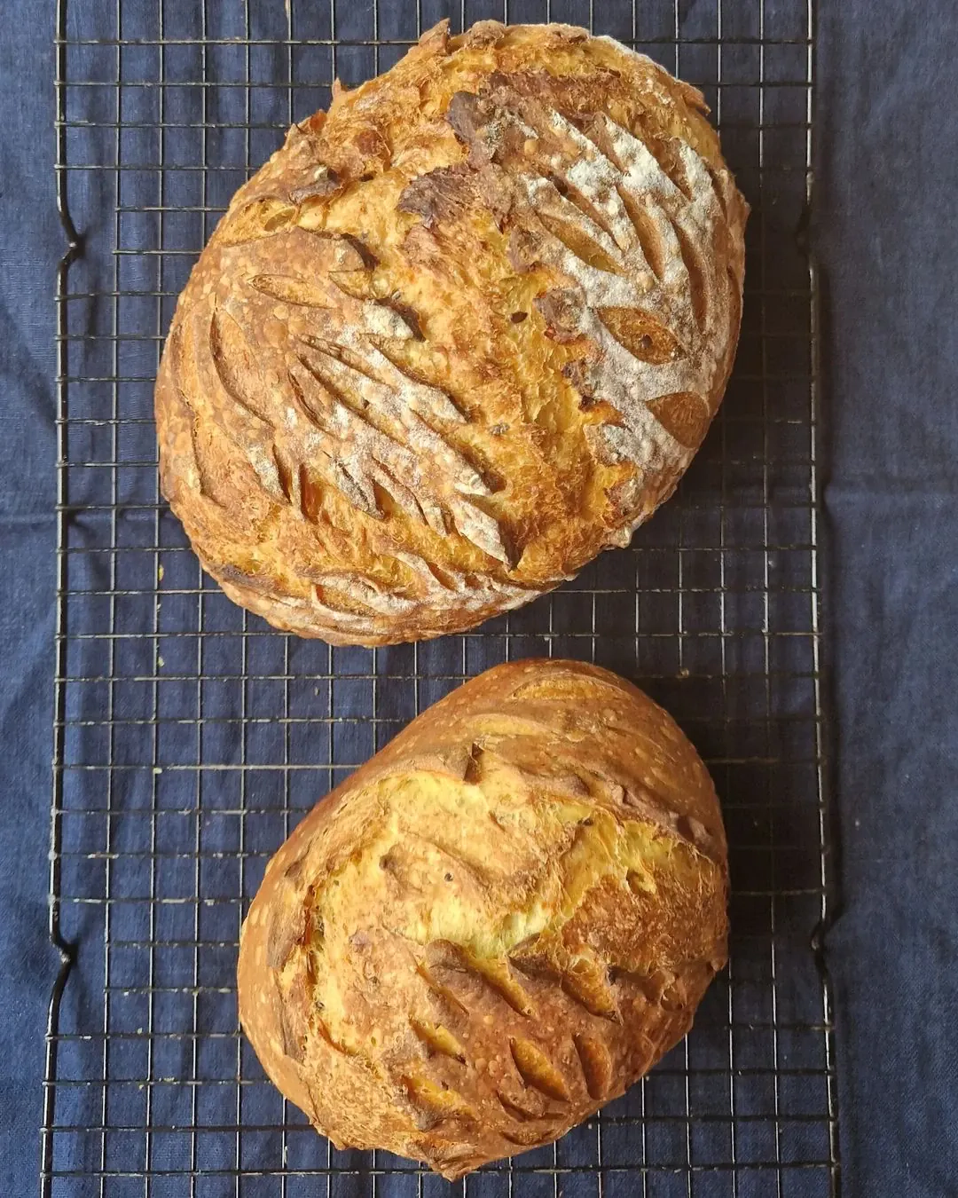 Sveikesnė moliūgų duona su raugu