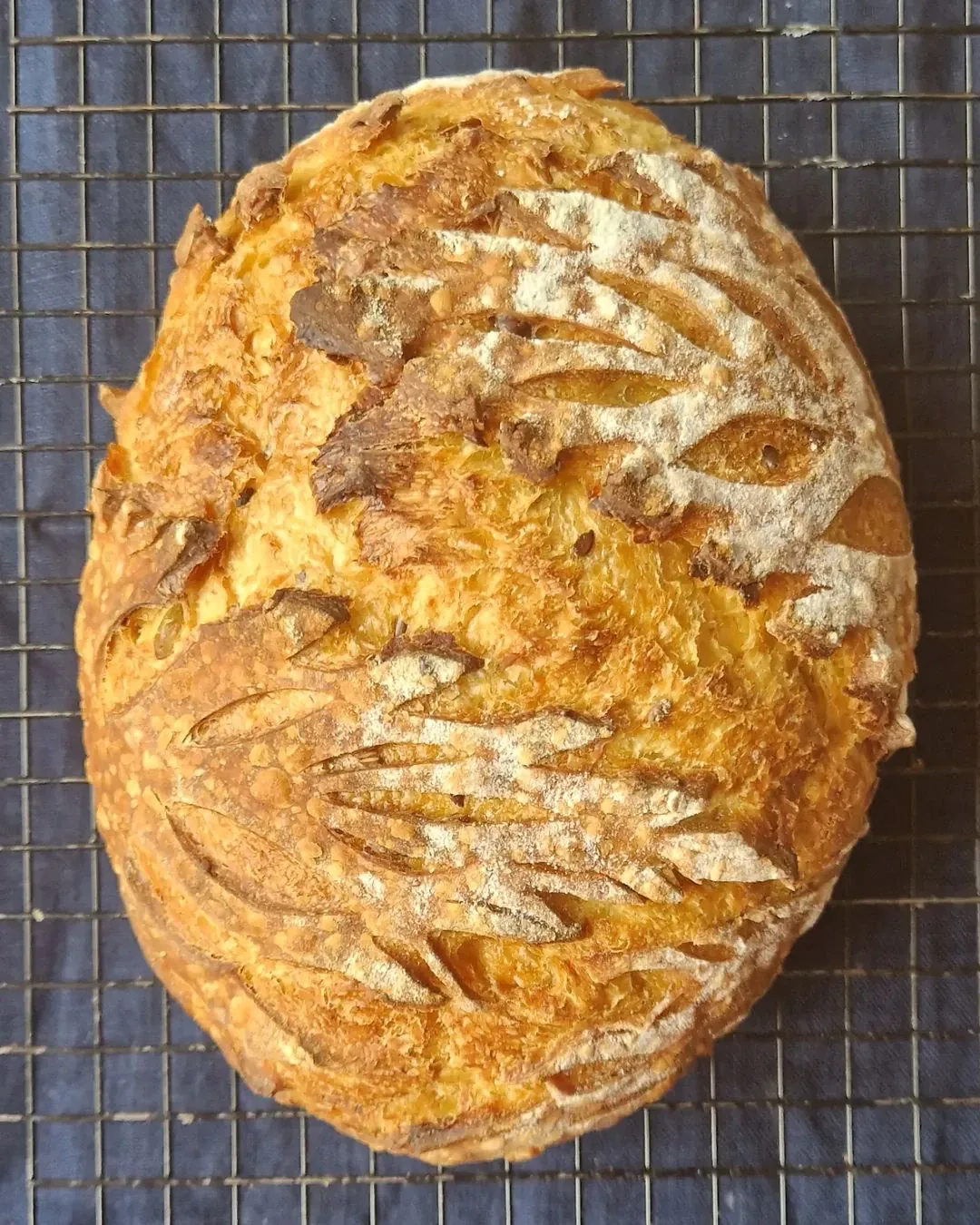 Sveikesnė moliūgų duona su raugu