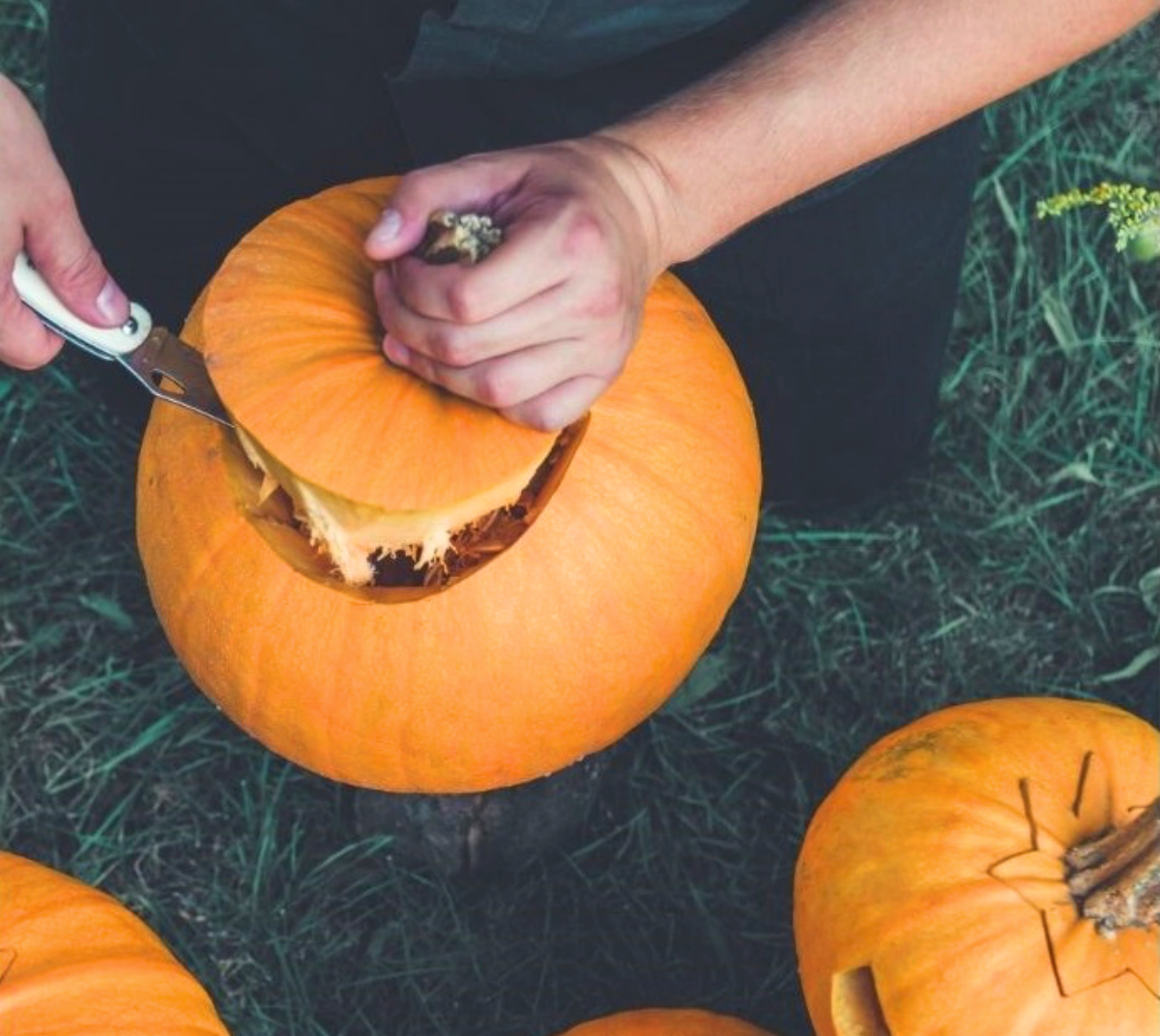 nupjauti moliūgui viršų