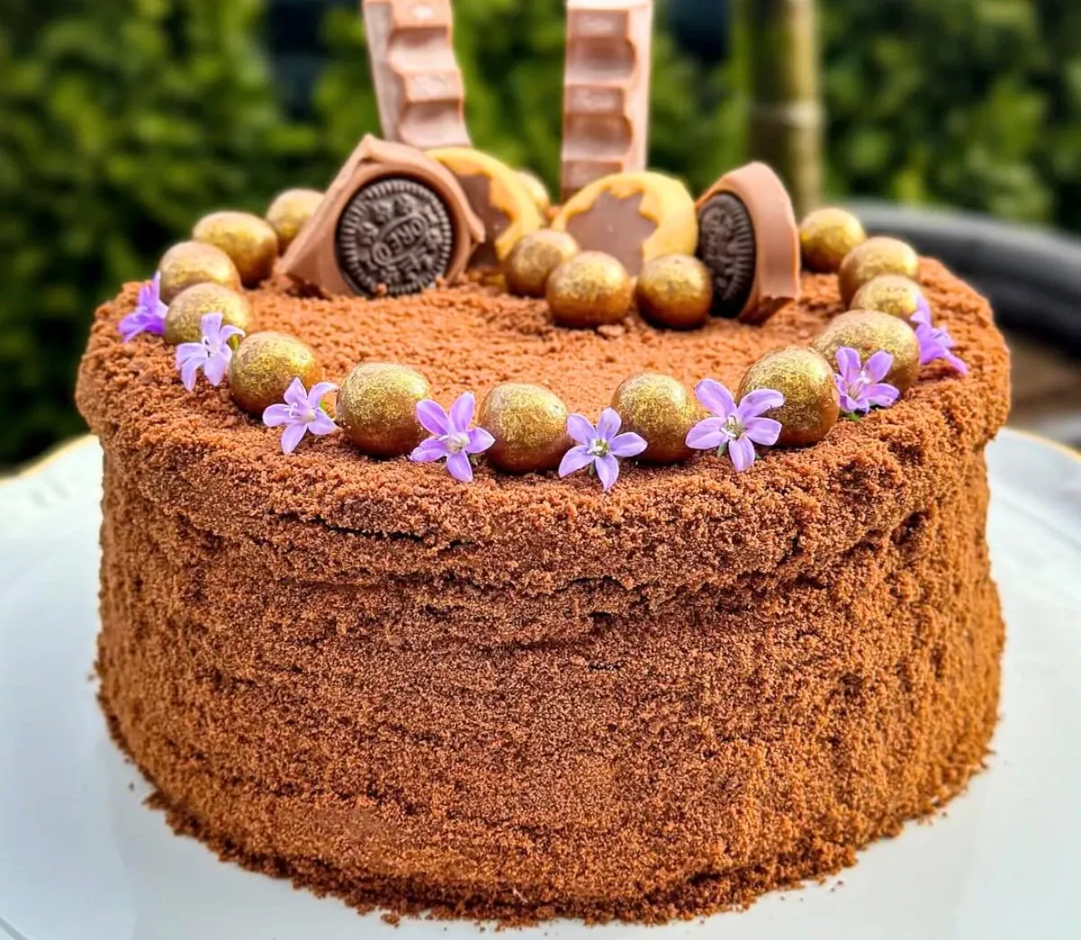 Šokoladinis medaus tortas