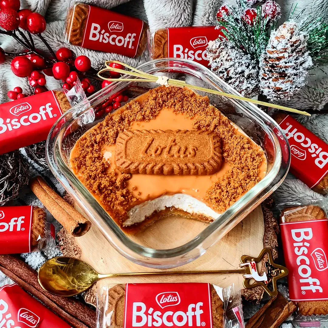 Vieno puodo Biscoff sūrio pyragas 🍪🤎