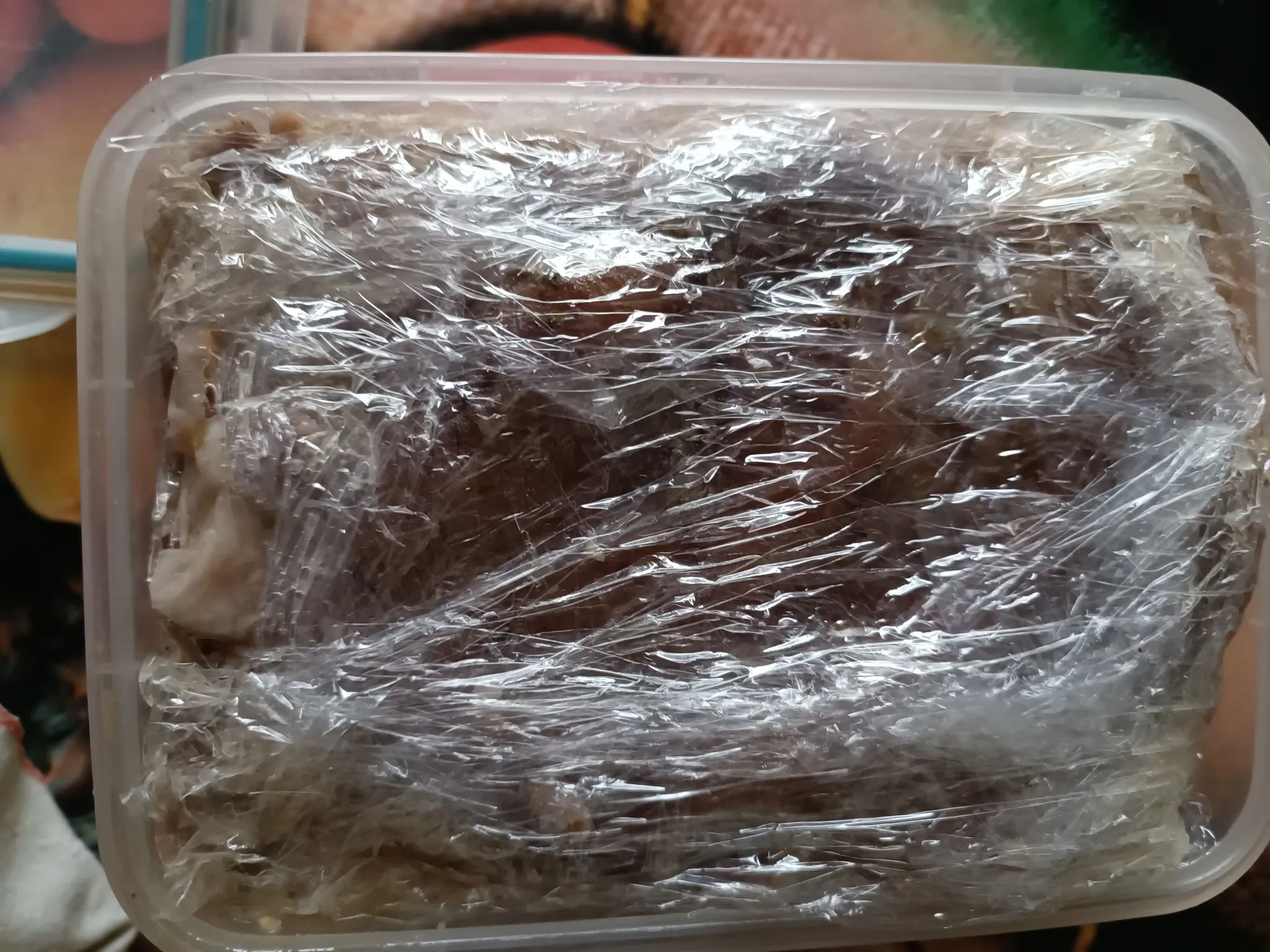 Karkos slėgtainis 🤩