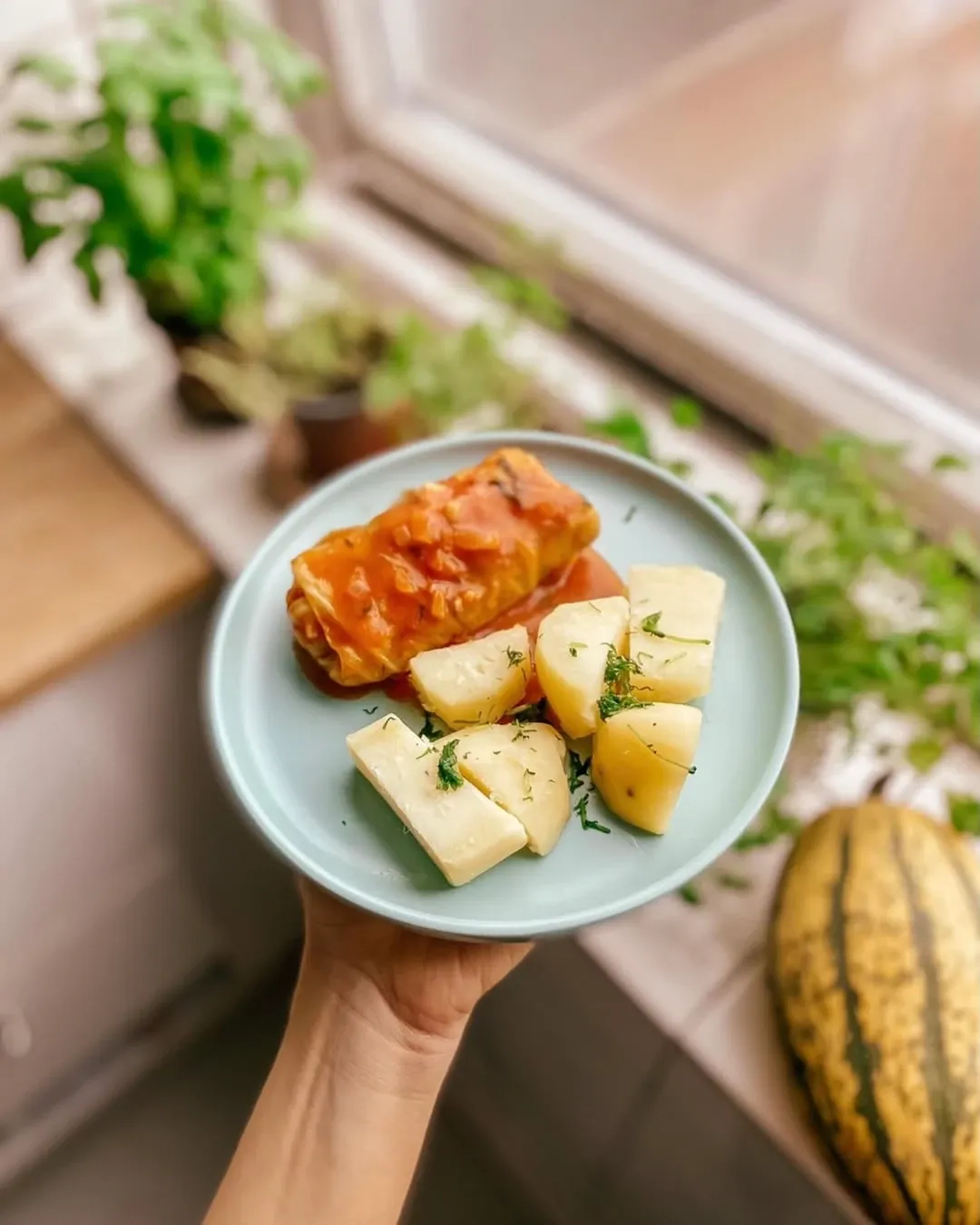 Balandėliai iš pekino kopūsto, su malta mėsa ir pomidorų padažu