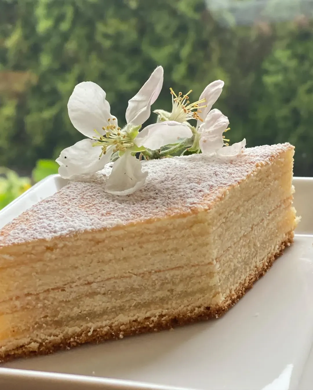 Pyragas Šakočio pusbrolis