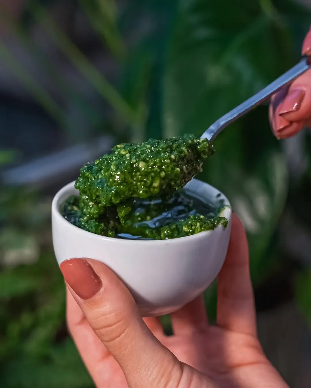 Naminis bazilikų pesto padažas
