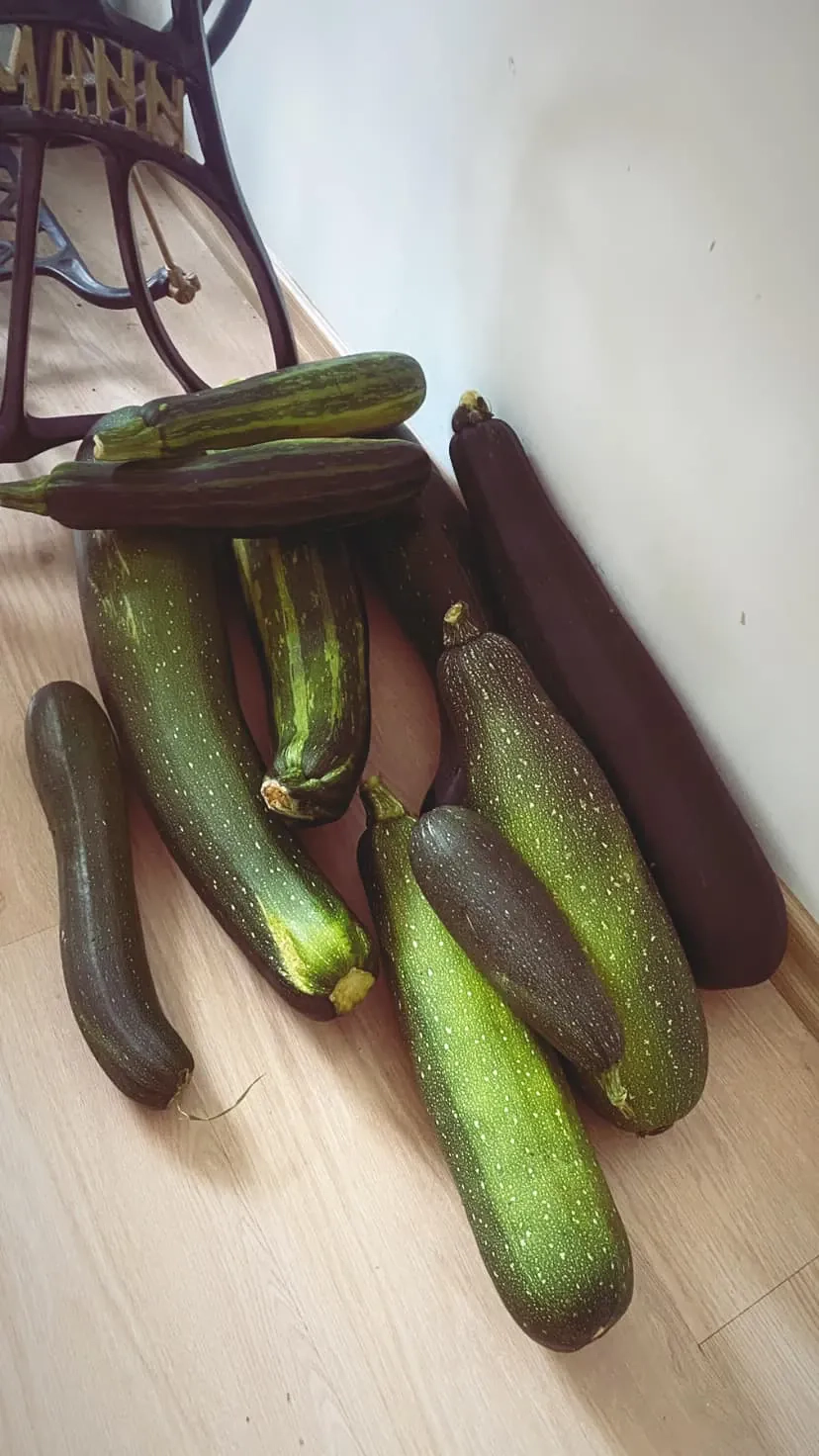 Bulvių plokštainis su cukinija, kefyru ir varškės padažu