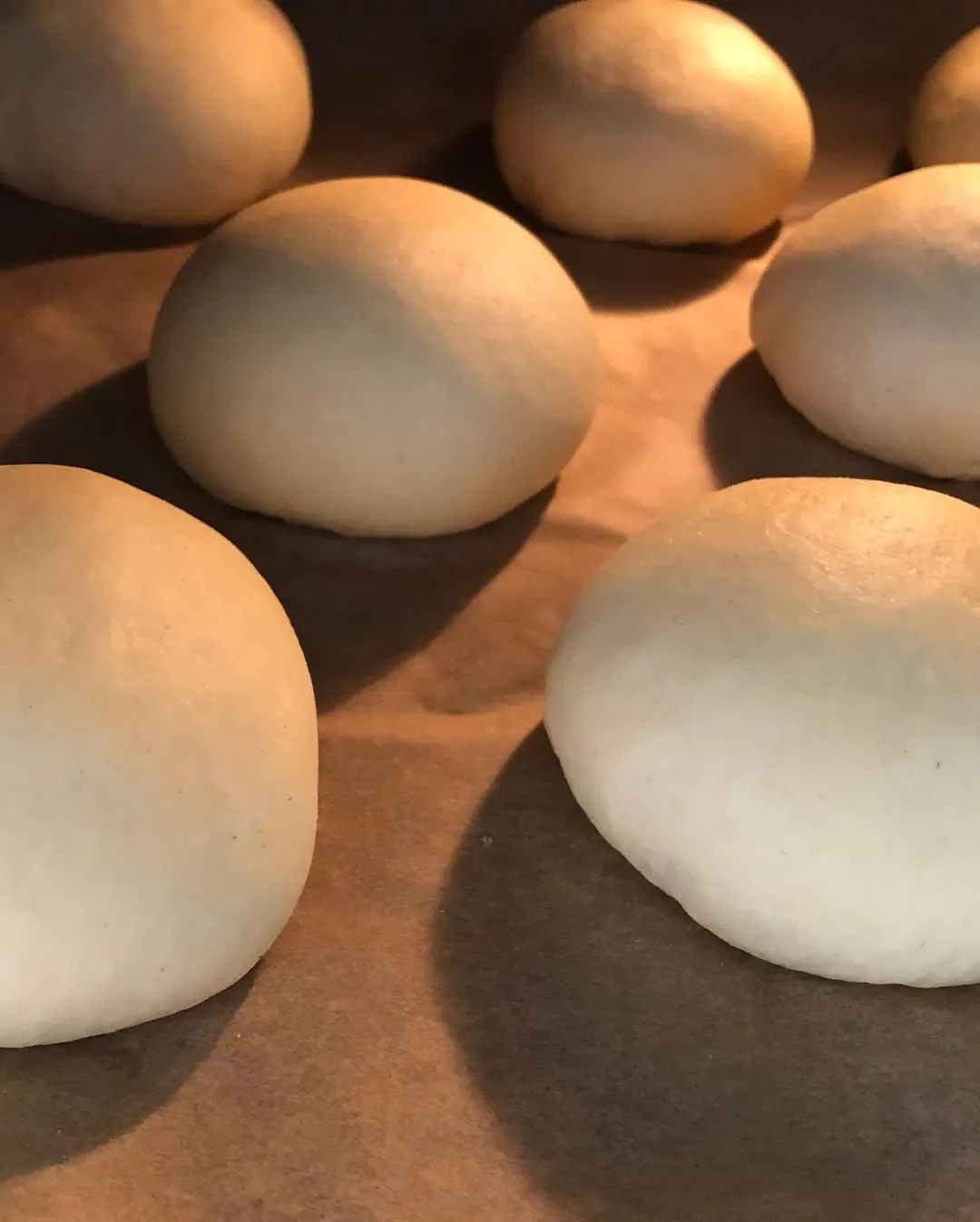 Burgerių / mėsainių brioche bandelės