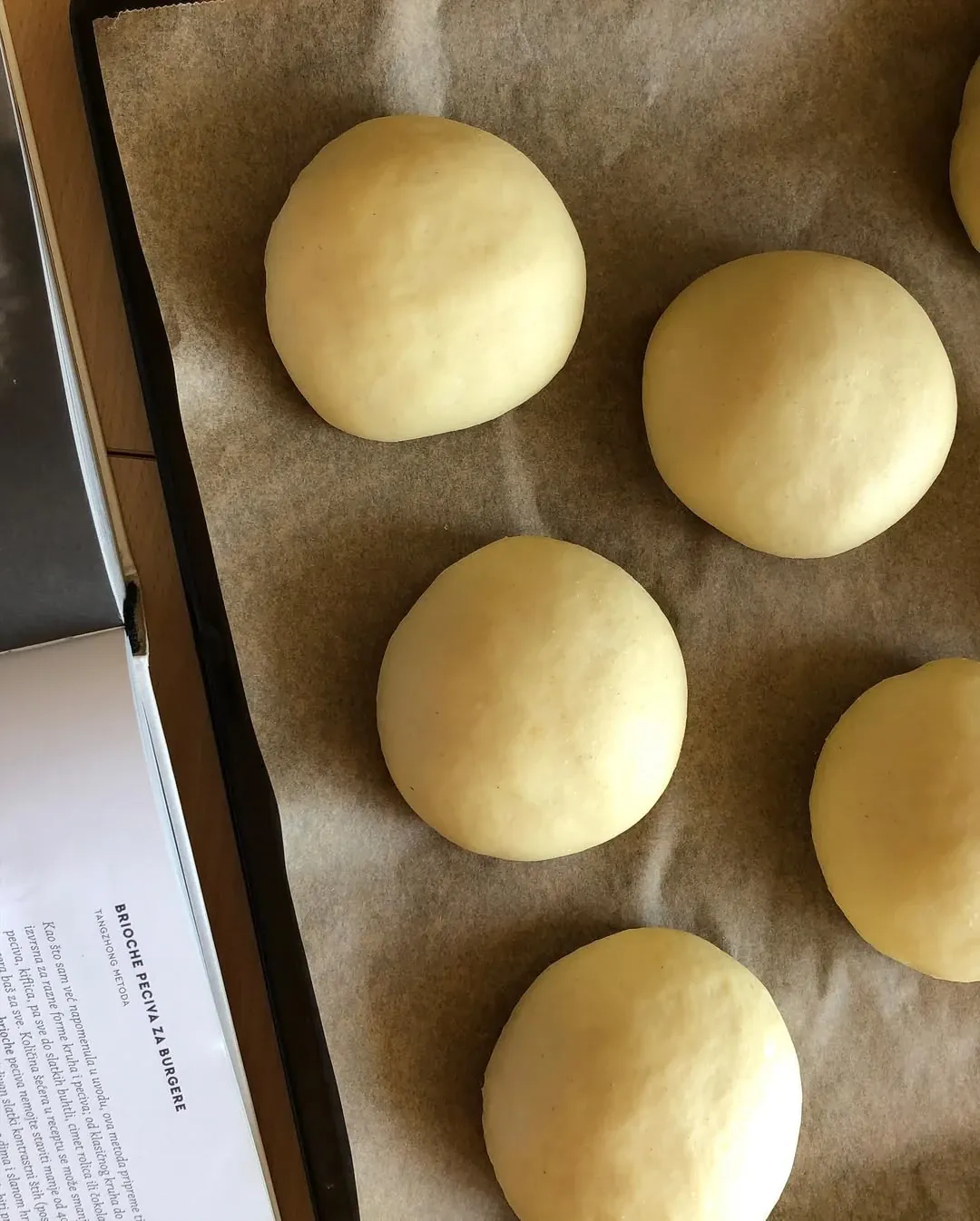 Burgerių / mėsainių brioche bandelės