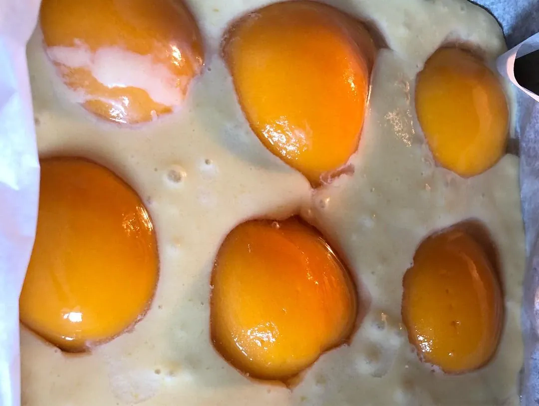 Spintelės pyragas su kondensuotu pienu ir persikais pagal Beatą