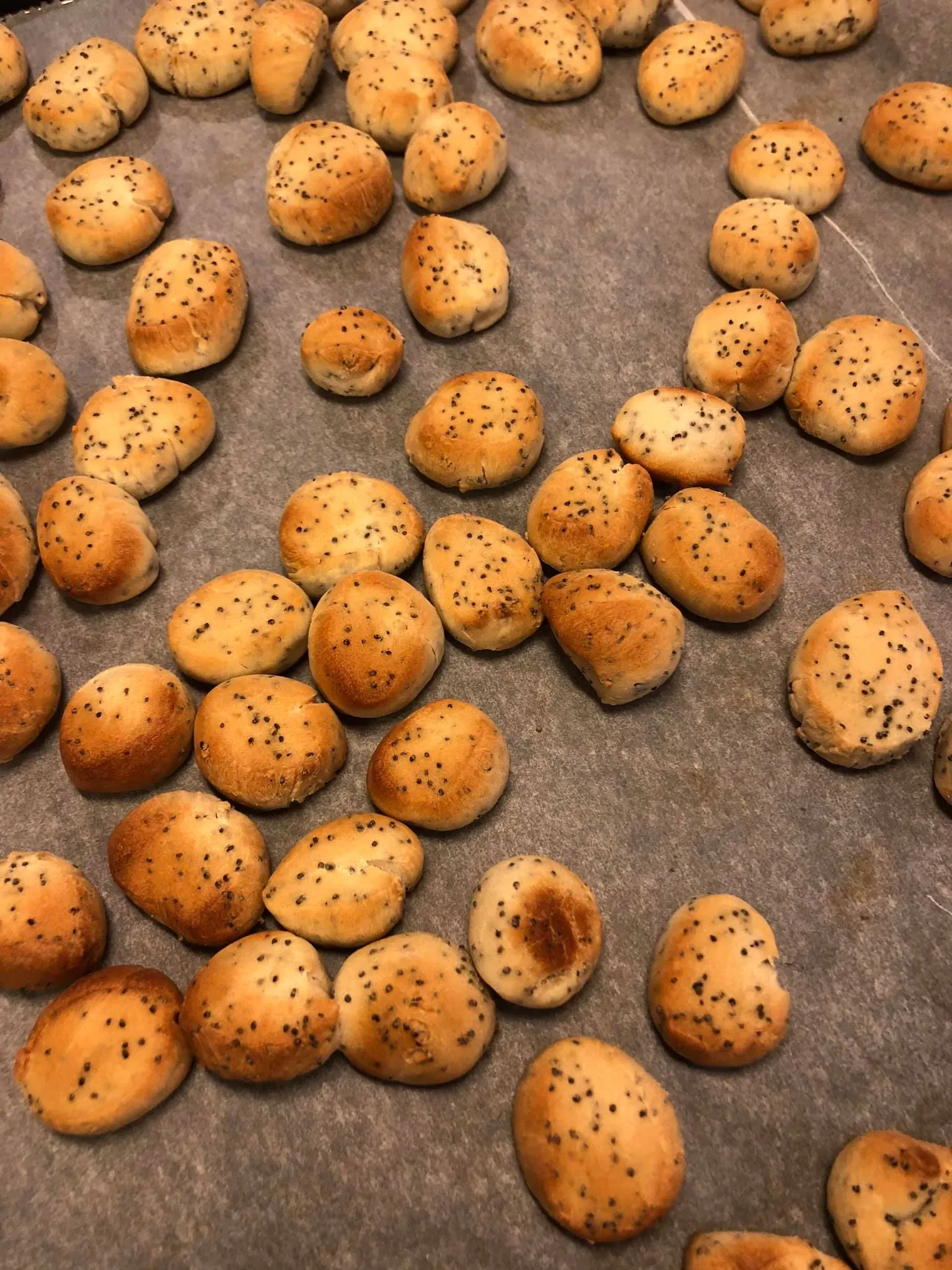 Mieliniai kūčiukai su sausomis mielėmis ir aguonomis pagal Beatą