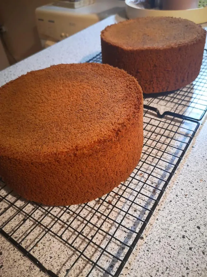 Medaus biskvitas tortams