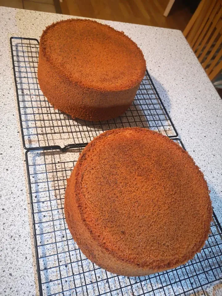 Medaus biskvitas tortams