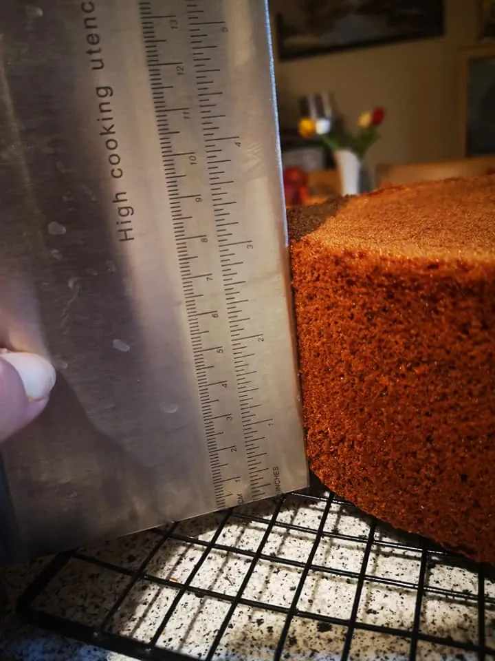 Medaus biskvitas tortams