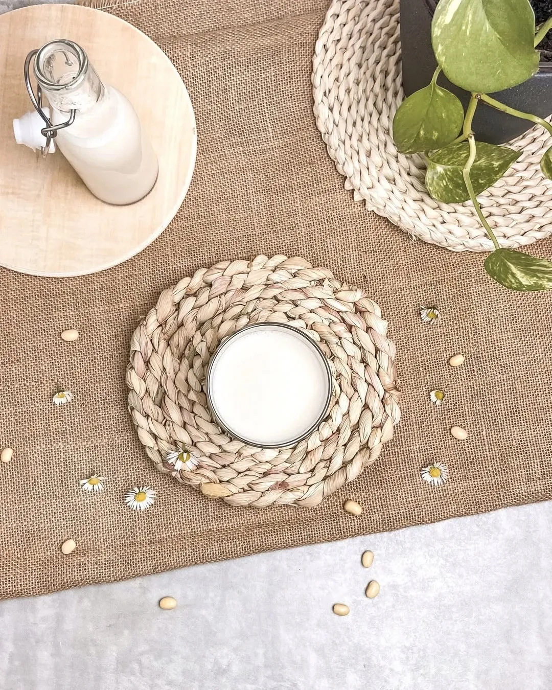 Naminis sojų pienas - gamyba namuose