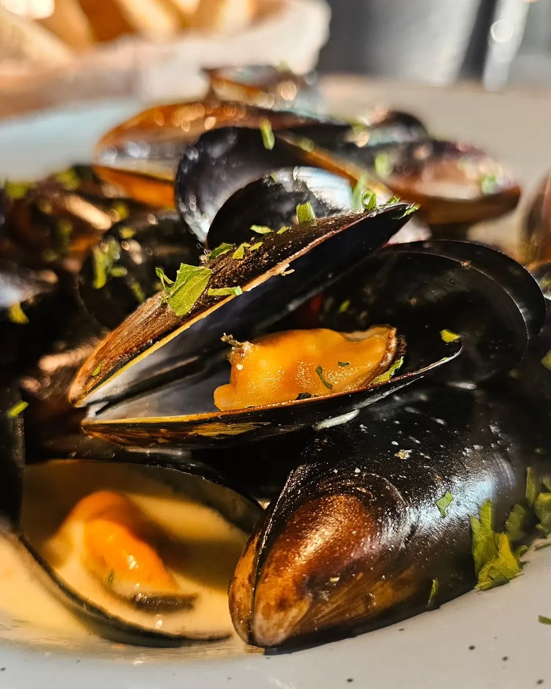 Midijos su vynu ir konservuotais pomidorais