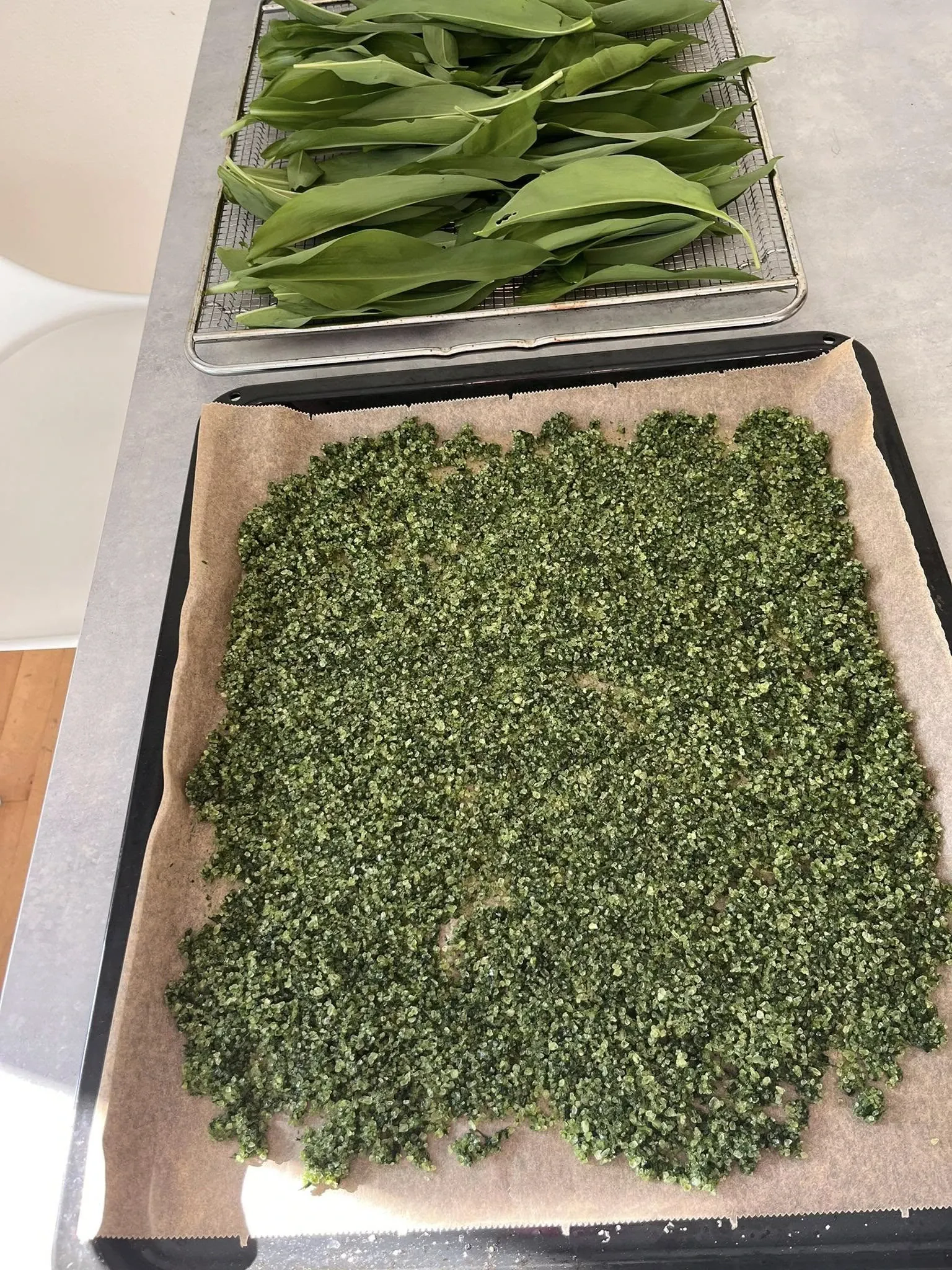 Meškinio česnako druska