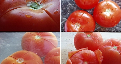 Kaip nulupti (nublanširuoti) pomidorus?