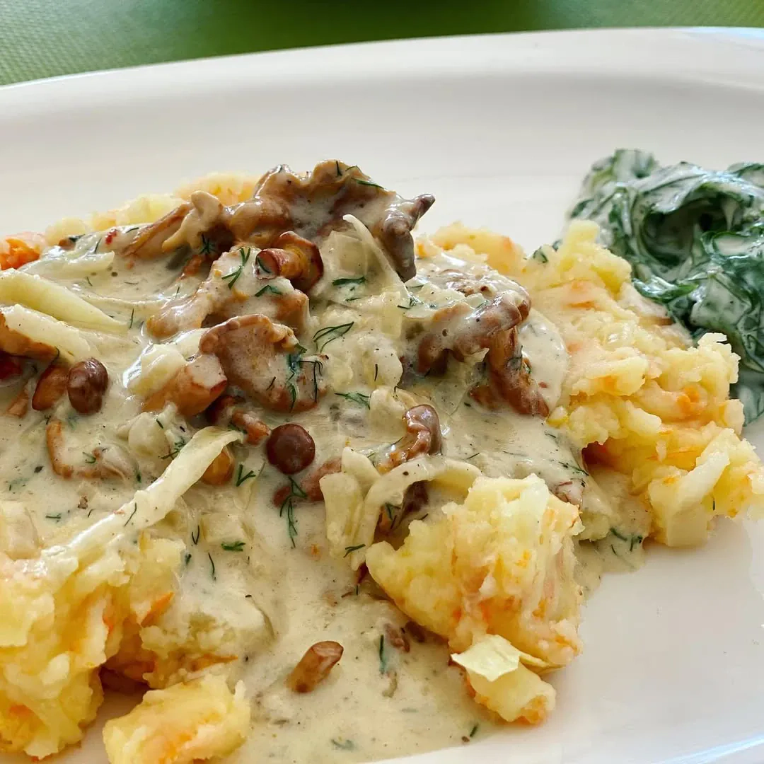 Voveraitės troškintos grietinėlėje su svogūnais, patiektos su romaninėmis salotomis