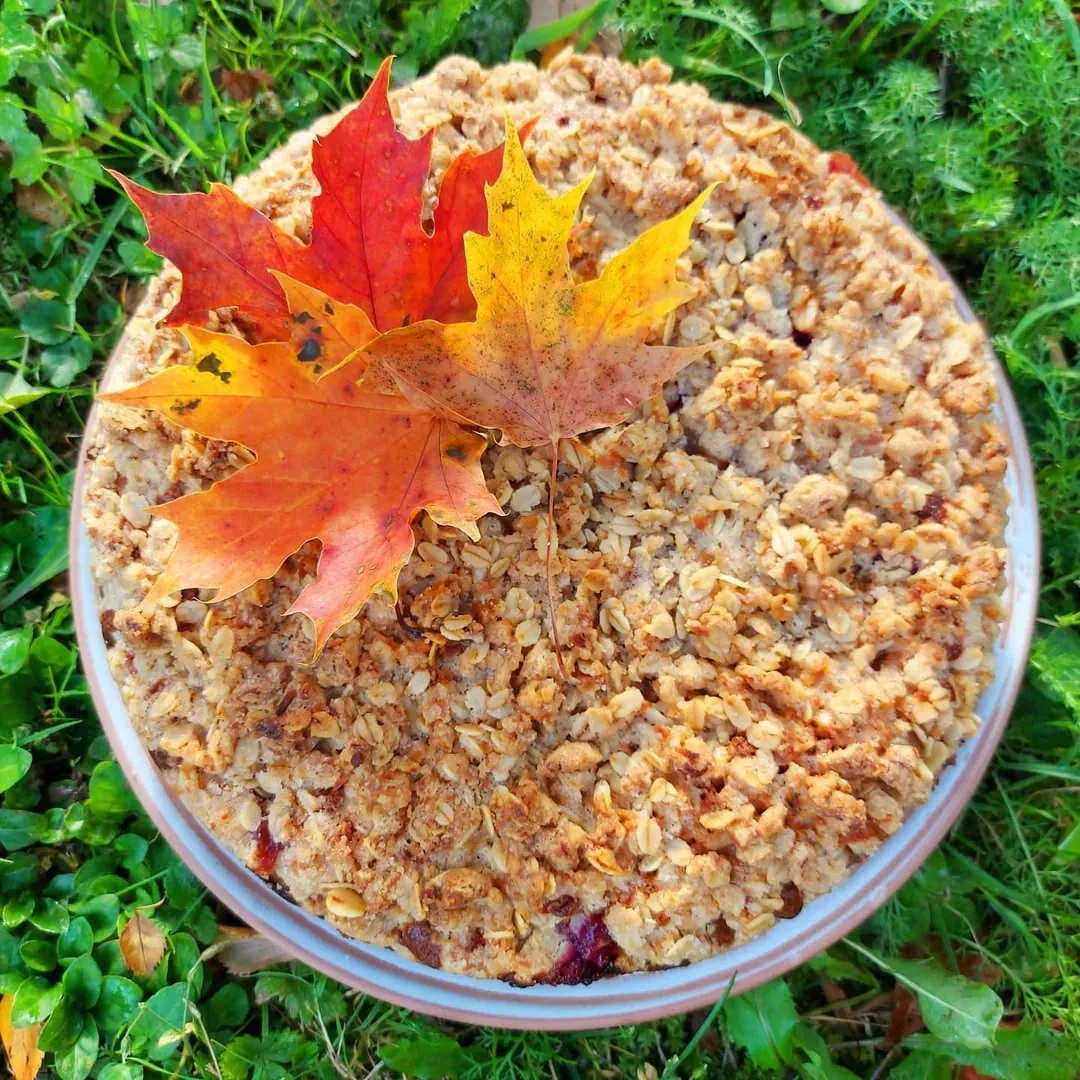 Plūmju drumstalkūka