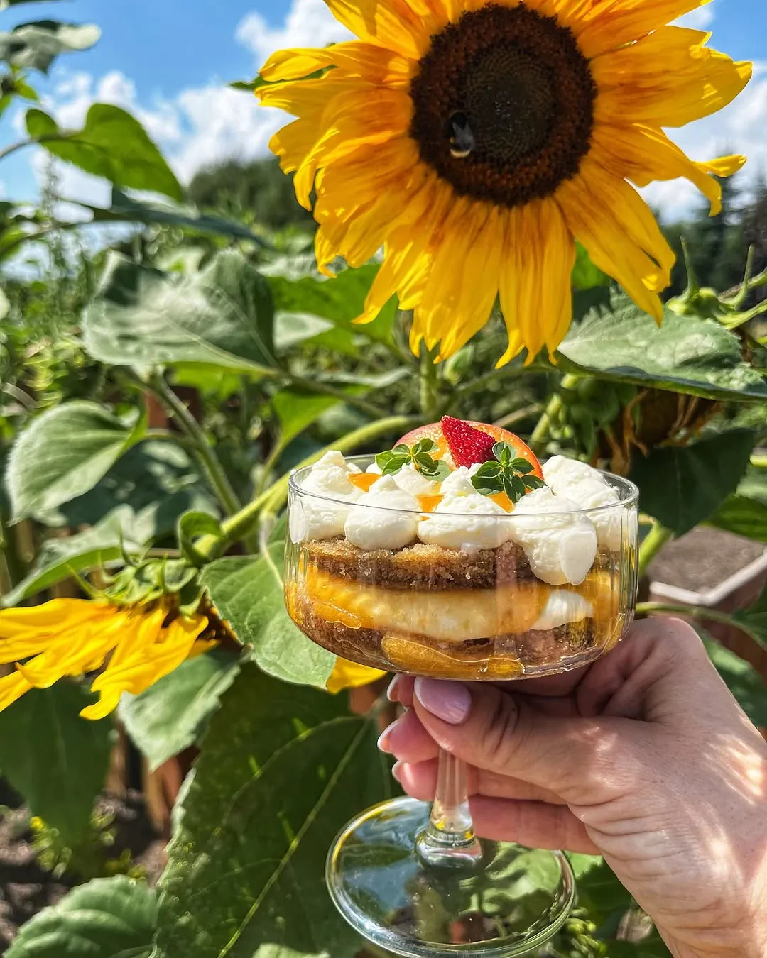 (A)moremisu deser a’la tiramisu z morelami i mascarpone