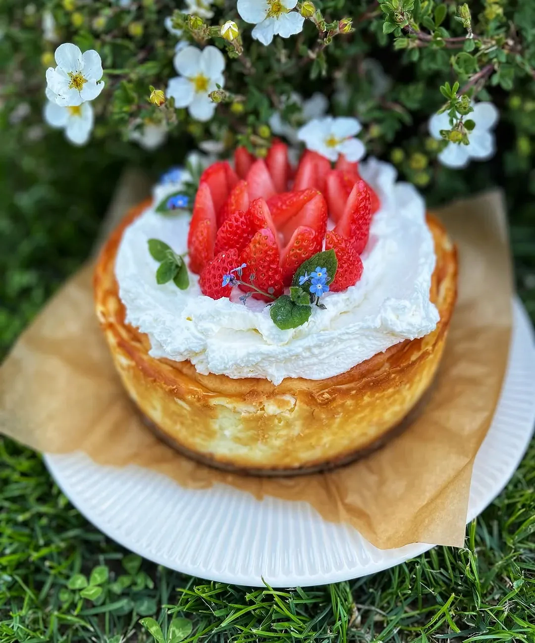 Sernikowy torcik z mascarpone i śmietanką