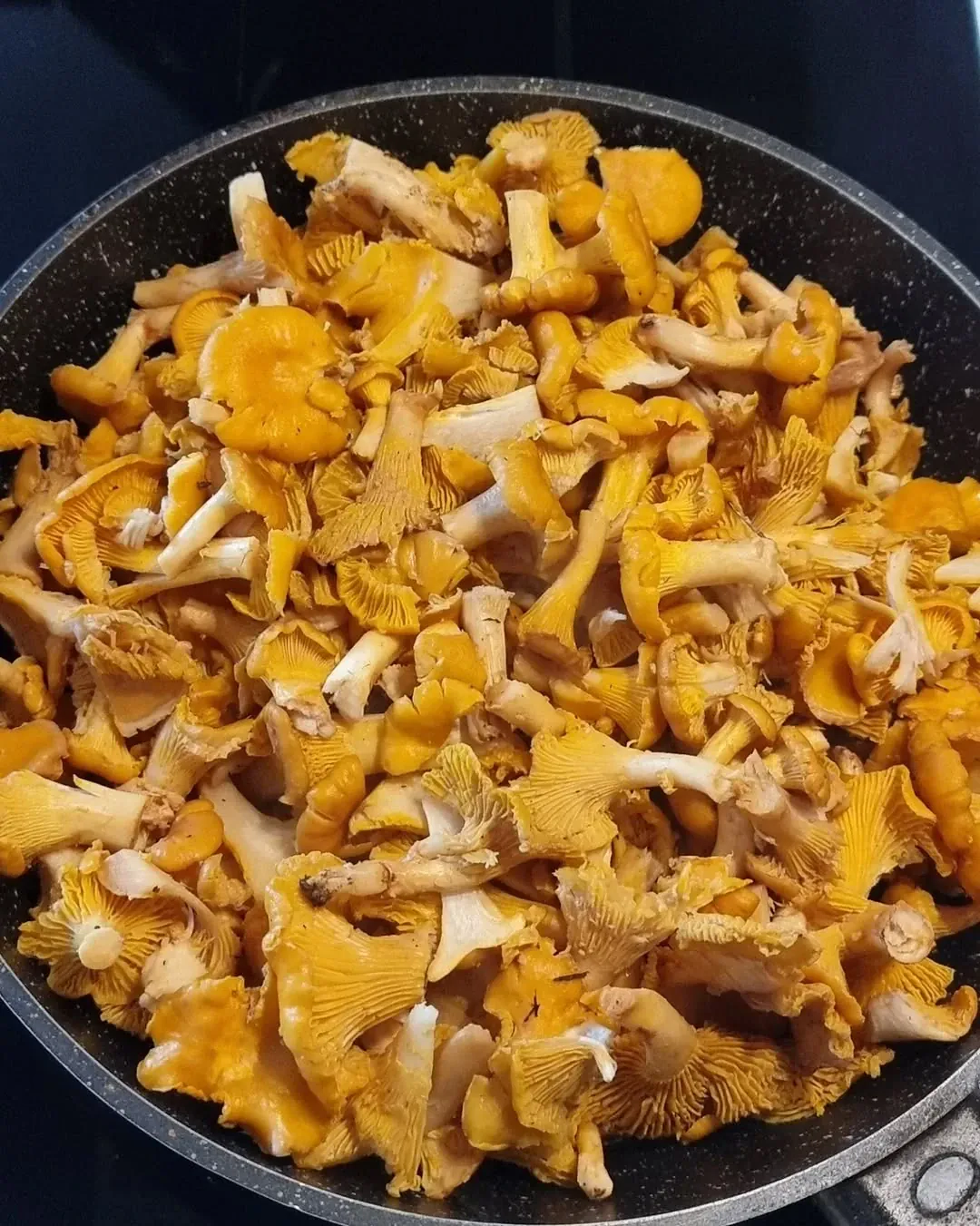 Kartupeļu pankūkas ar krēmīgu gaileņu mērci