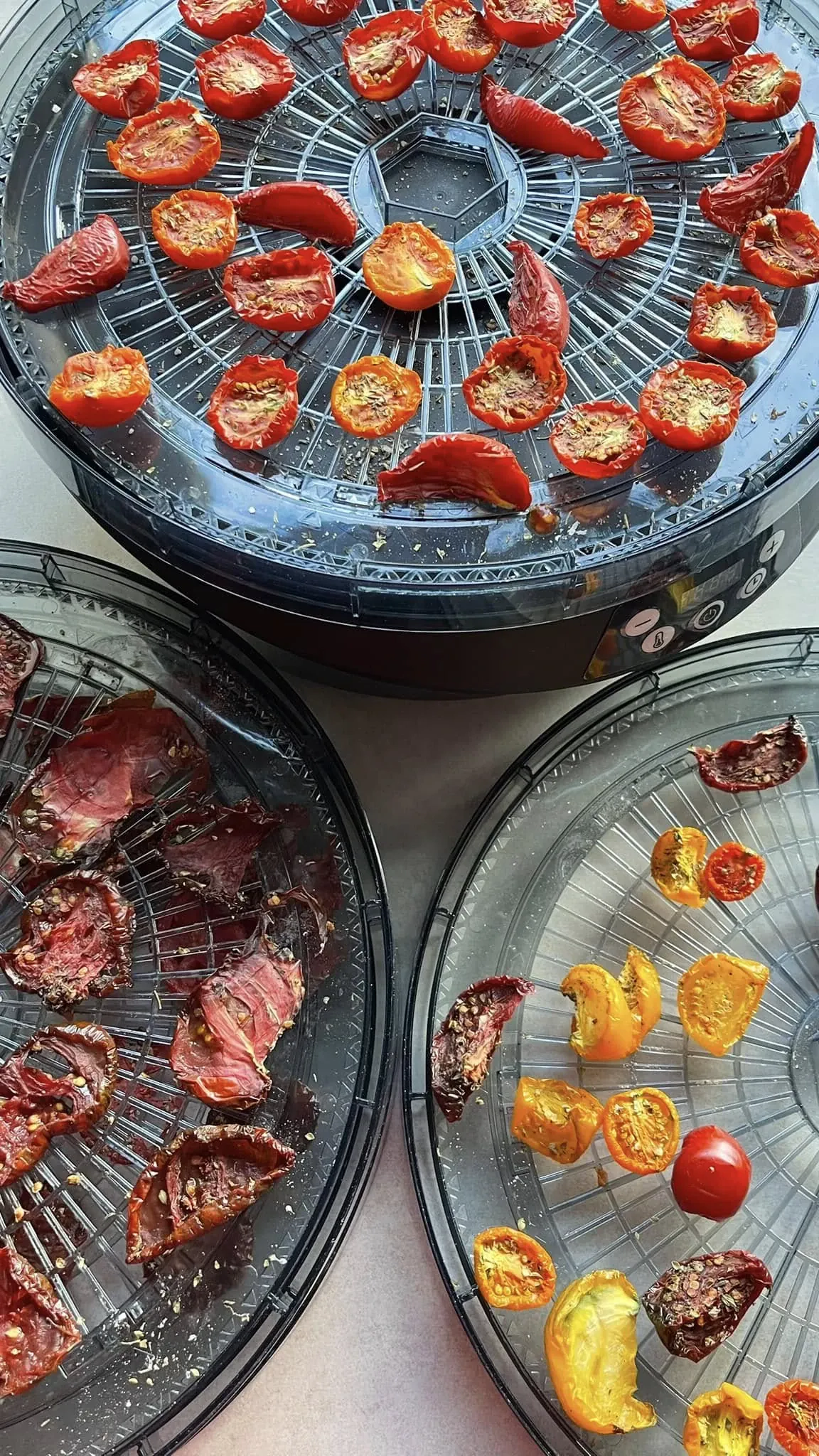 Lietuviški džiovinti pomidorai, marinuoti itališkame aliejuje