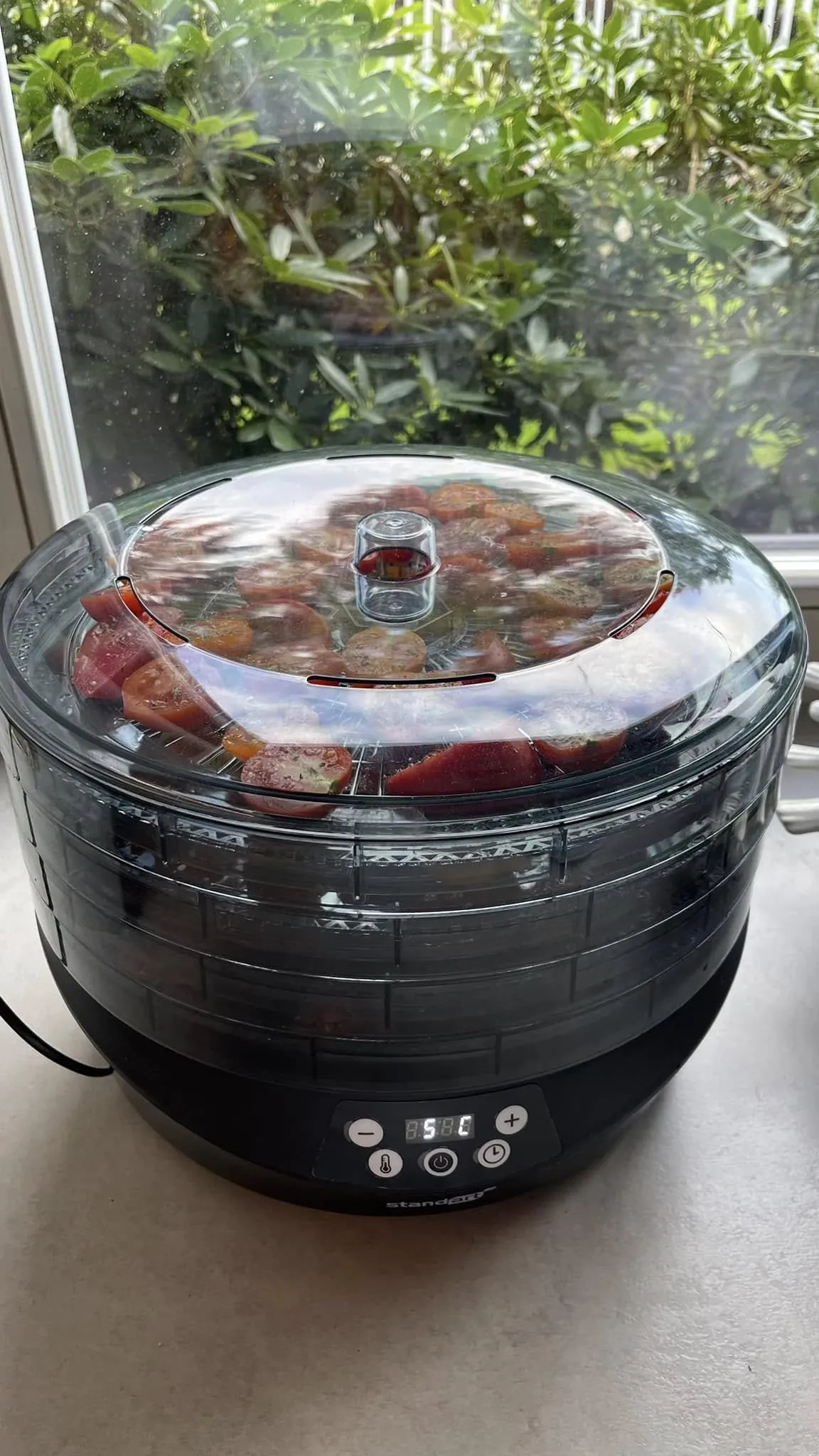 Lietuviški džiovinti pomidorai, marinuoti itališkame aliejuje