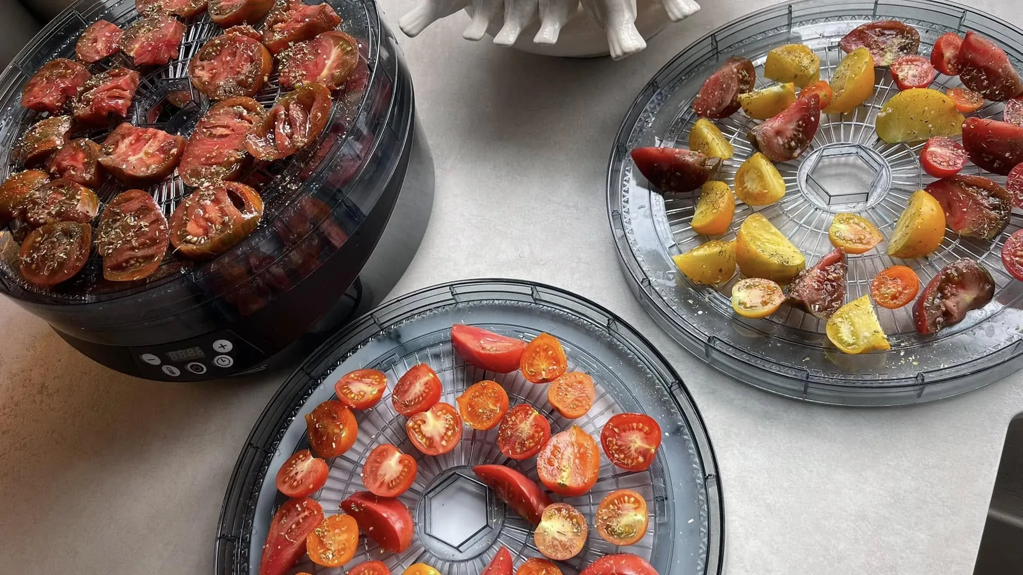 Lietuviški džiovinti pomidorai, marinuoti itališkame aliejuje