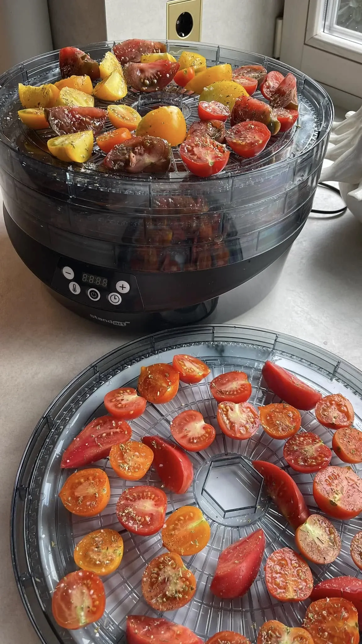 Lietuviški džiovinti pomidorai, marinuoti itališkame aliejuje