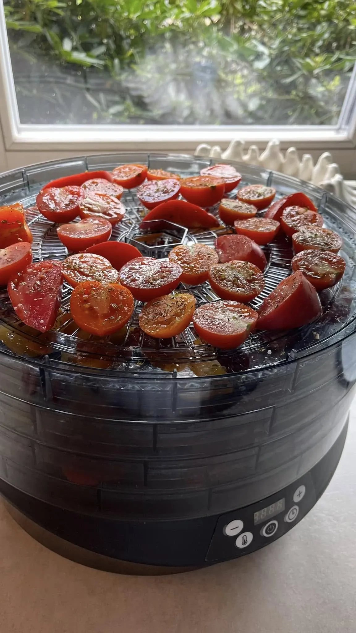 Lietuviški džiovinti pomidorai, marinuoti itališkame aliejuje