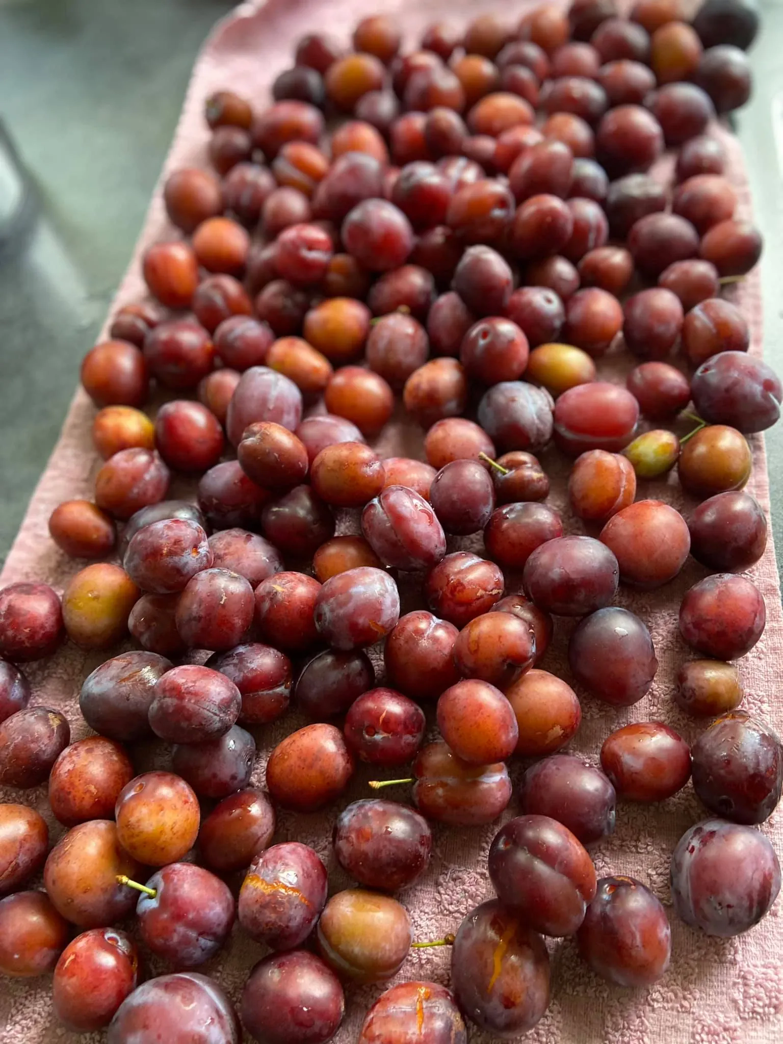 Slyvų uogienė su cukrumi ir vokišku vaniliniu cukrumi