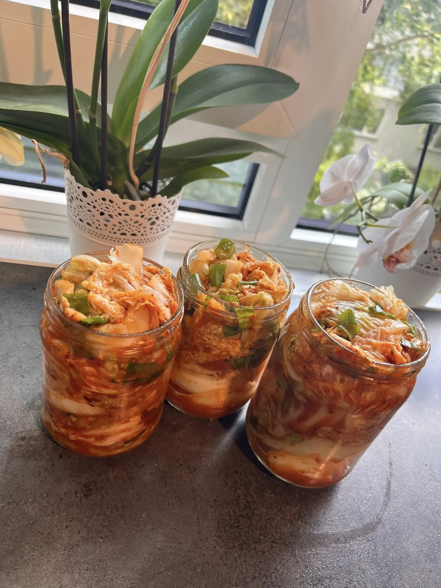 Kimchi - kimči rauginti kopūstai korėjietiškai