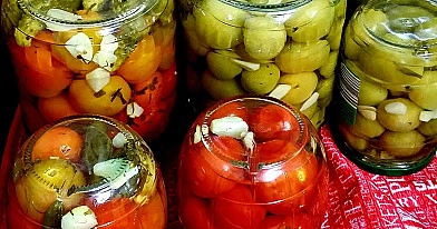 Saldžiarūgščiai marinuoti žali pomidorai 😋