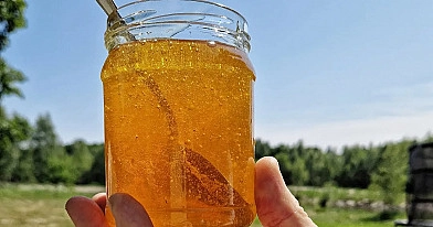 Medus ir skydliaukė: kaip ši natūrali priemonė gali stulbinamai pagerinti skydliaukės veiklą vos per 8 dienas! (ekspertų patarimai, kurių nežinojote)