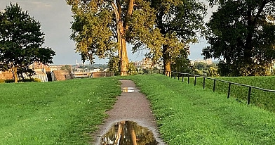 Koks tu medis pagal gimimo datą? 🌳 atskleisk savo asmenybę ir sužinok, kodėl tave dievina kiti!